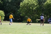 OTFL Gallery Image